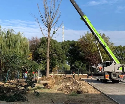 花橋綠化工程